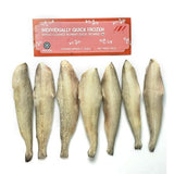 Bombay Duck Frozen Fish 500g