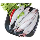 Bombay Duck Frozen Fish 500g