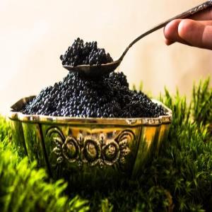 Lumpfish Roe Caviar 100g Black